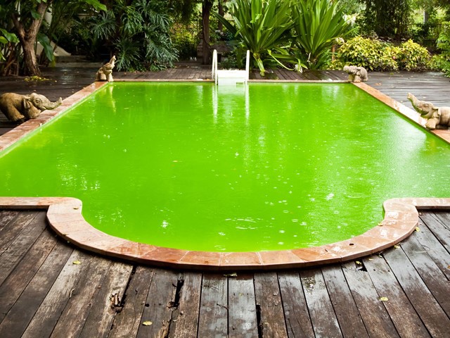 Lessons in a Swimming&nbsp;Pool